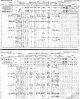 census - canada1891 - john + margaret mcarthur family in toronto1.jpg